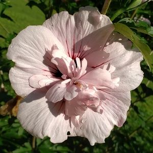 Meet your Posher, Kai